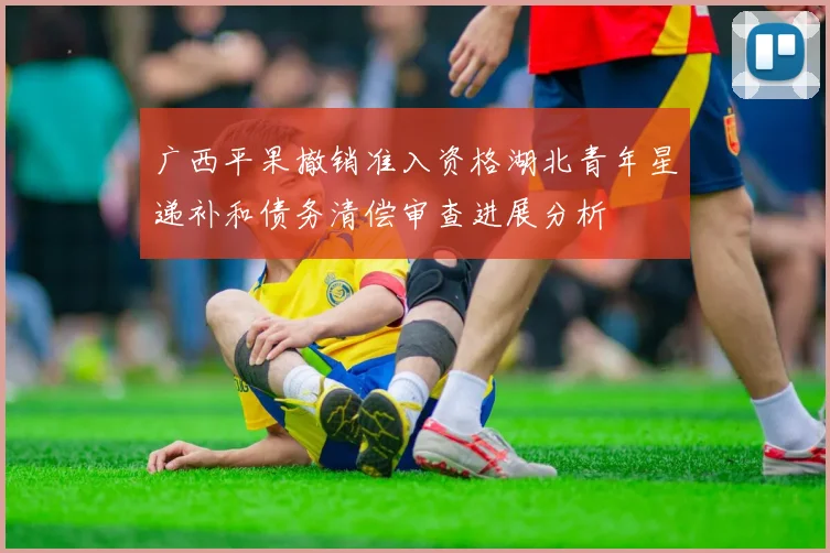 广西平果撤销准入资格湖北青年星递补和债务清偿审查进展分析