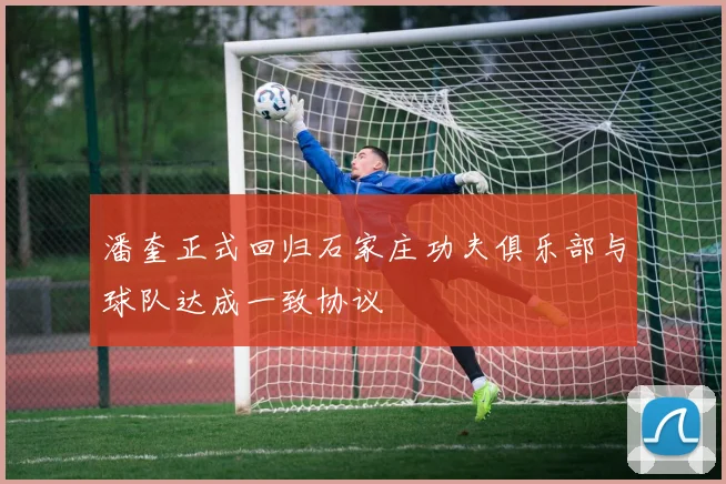 潘奎正式回归石家庄功夫俱乐部与球队达成一致协议