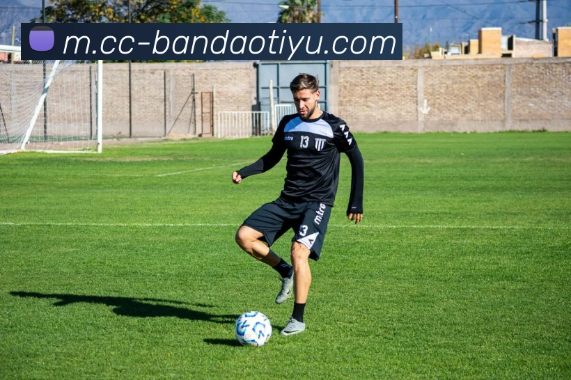 半岛体育平台生态图